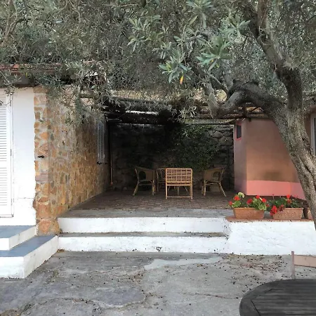 Splendid On Tuscan Sea Dom wakacyjny *