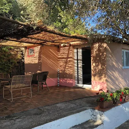 Splendid On Tuscan Sea Dom wakacyjny Porto Santo Stefano (Grosseto)