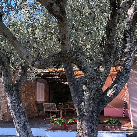 Splendid On Tuscan Sea 圣托斯特凡诺港