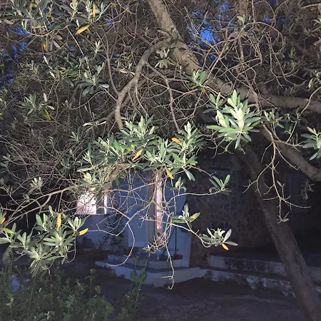 Splendid On Tuscan Sea 圣托斯特凡诺港
